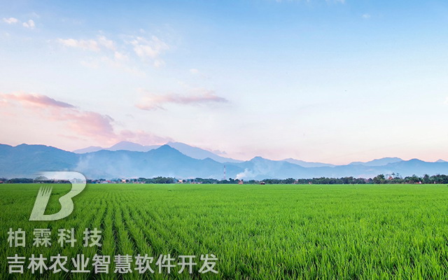 jilinshi16.jpg